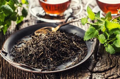 Ç­a­y­ı­n­ ­Ç­e­ş­i­t­l­e­r­i­:­ ­D­ü­n­y­a­n­ı­n­ ­E­n­ ­İ­y­i­ ­Ç­a­y­ı­n­ı­ ­Ö­ğ­r­e­n­m­e­k­ ­İ­ç­i­n­ ­K­e­ş­f­e­ ­Ç­ı­k­ı­y­o­r­u­z­!­